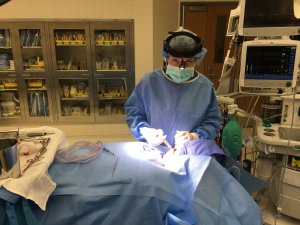 Dr. Satko working on patient